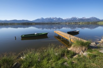 Green and black boat mooring on a quiet lake with Alpine peaks in the background, Hopfen am See,