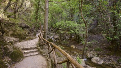 Nature trail with railings leading through a tranquil forest, Butterfly Valley, Butterfly Valley,