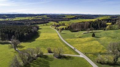 Blooming meadows and forests in the hilly foothills of the Alps near Mindelheim in spring, in the