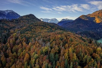 Aerial view of a mountain landscape in autumn, trees, morning light, view of Zugspitze and Bavarian