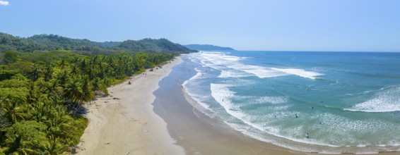 Aerial view, rainforest, sandy beach and coast with waves, Playa Cocalito, Puntarenas, Costa Rica,