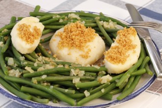 Swabian cuisine, yeast dumplings with green beans, breadcrumbs, served on a plate, typical Swabian,