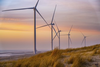 ENECO wind farm on the dike around the harbour Maasvlakte 2, 22 wind turbines with a capacity of