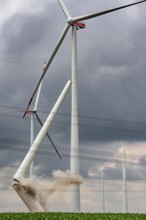 Demolition of the tower of a 20 year old wind turbine, in the Werl wind farm, 5 old Enercon E-66