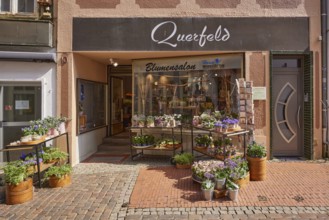 Flower shop Querfeld in the pedestrian zone in Stade, Hanseatic city, district of Stade, Lower