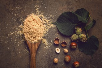 Wooden spoon, with hazelnut flour, on a brown table, top view, no people