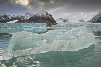 Remains of an iceberg and glacier break-off edge, Monacobreen, Liefdefjord, Woodfjord area,