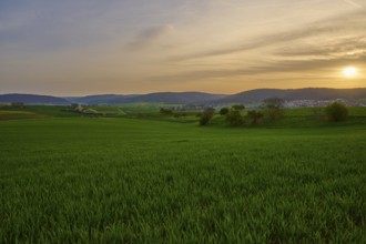 Green meadow in hilly landscape at sunrise with soft clouds in the sky, Mönchberg, Mltenberg,