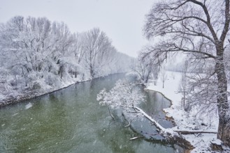 Landscape of the Donau with snowy trees in winter, Regensburg, Upper Palatinate, Bavaria, Germany,