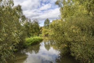 The Stockacher Aach flows through the autumn-coloured Stockacher Aachried into western Lake
