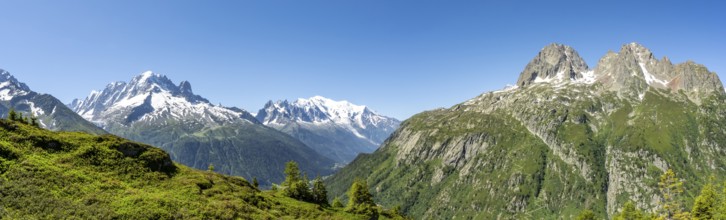 Mountain panorama with glaciated mountain peaks, Aiguille Verte with Aiguille du Midi and Mont