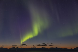 Northern Lights, Aurora borealis, twilight, mountains, Lofoten, Norway, Europe