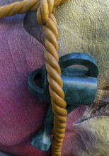 Detail photo, Houseball, Bethlehemkirchplatz, Berlin, Germany, Europe