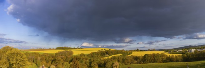 Spring landscape on the Alte Poststraße with blossoming rape fields in the Osterzgebirge, Rippien,