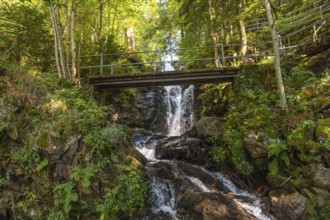 Wooden bridge in the upper area of ??the Todtnau waterfall in the Black Forest in Germany