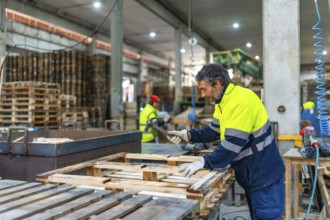 Males workers working in a recycling plant repairing pallets in the workshop