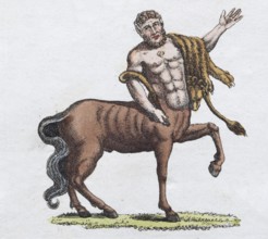 Centaur, hand-coloured copperplate engraving, from Friedrich Justin Bertuch's picture book for