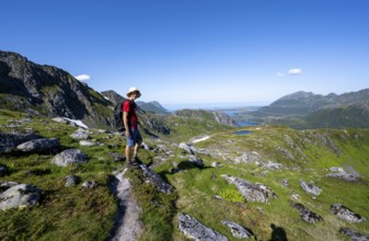 View of mountains and fjord landscape, mountaineer on hiking trail to the summit of Rundfjellet,