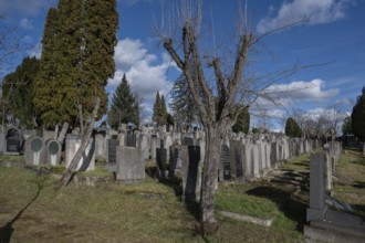 Old graves at the Israeli cemetery, inaugurated in 1882, Werner-von Siemens Str. 2, Würzburg, Lower