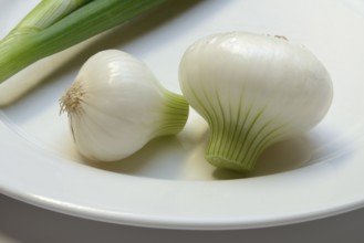 Onion, spring onions on a plate