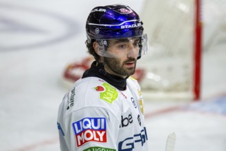 DEL, German Ice Hockey League season 2024/25, 52nd matchday: Adler Mannheim vs Eisbären