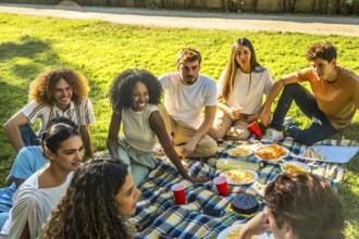 Multi-ethnic friends enjoying nature sitting on picnic blanket drinking beverages and eating snacks