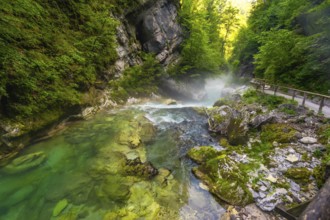 Clean water flowing through vintgar gorge near bled in slovenia, creating a beautiful natural