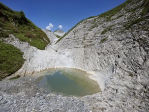 Glacier mill with glacier pots on the Trinser Alp Mora, Trin, Canton Graubünden, Switzerland,