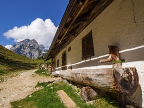 Wooden fountain trough at the Halsalm, with the Reiteralpe above, Ramsau near Berchtesgaden,