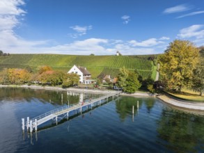 Aerial view of the jetty at the historic Rebgut Haltnau with catering business, outdoor catering