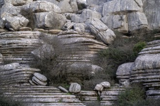 Bizarre limestone rock formations, El Torcal nature reserve, Torcal de Antequera, Malaga province,