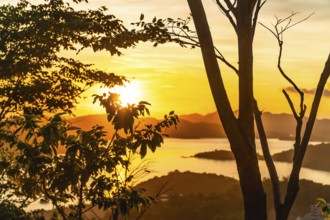Majestic golden sunset illuminating the tranquil waters and lush islands surrounding coron,