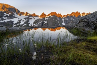 Rocky mountain peaks with reflection, small pond with cotton grass in moor landscape at Trollfjord