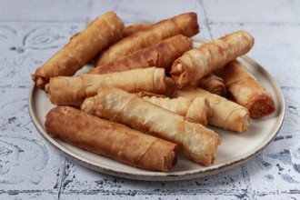 Fried spring rolls with cheese, on a plate, with cream sauce, no people