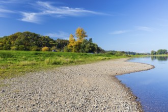 On the Elbe near Meißen opposite Karpfenschänke, Meißen, Saxon Elbland, Saxony, Germany, Europe