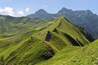 View from the Col de Bise mountain pass over green alpine meadows on both sides of the sharp Velan