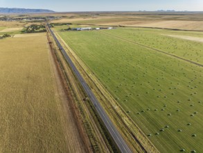 Meadow full of colored hay bales, aerial view, southern coast, Iceland, Europe