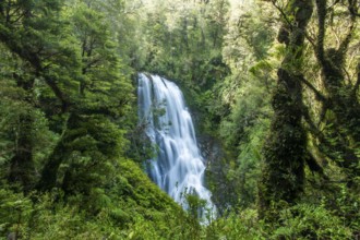 Waterfall in the jungle, Pumalin-Douglas Tompkins National Park, Chaiten, Los Lagos region,