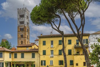 Winding houses with pastel-coloured facades, behind the tower of San Martino Cathedral, historic