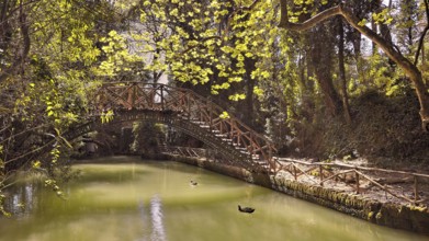 Idyllic wooden bridge over a peaceful pond in a green forest, Rodini Park, City Park, Rhodes Town,