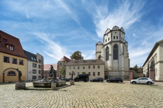 The Cathedral and the New Residence, Halle an der Saale, Saxony-Anhalt, Germany, Europe