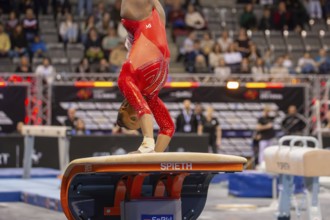 EnBW DTB-Pokal Stuttgart 2025, Mixed Cup***Gabrielle Black Canada on vault