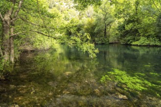 The River Cetina in the Cetina Gorge near Omis, Croatia, Europe