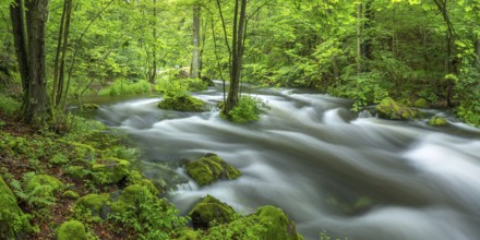 White water and rapids on the Trieb stream in the Triebtal nature reserve in Vogtland, Plauen,