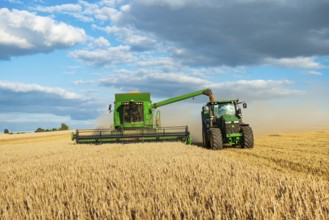 Combine harvester harvesting wheat and unloading grain onto tractor with trailer, endless