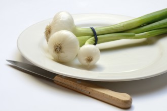 Onion, spring onions and knife on plate
