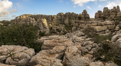 Bizarre limestone rock formations, El Torcal nature reserve, Torcal de Antequera, Malaga province,