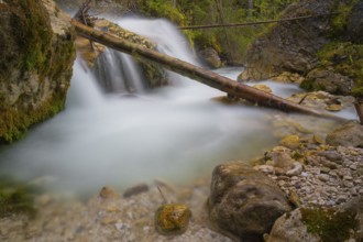 A tree trunk lies across a waterfall, long exposure, Dolomites, Puez-Geisler nature park Park, St.
