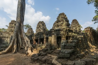 Ta Prohm, Angkor Wat, Angkor, UNESCO World Heritage Site, Siem Reap, Cambodia, Indochina, Southeast