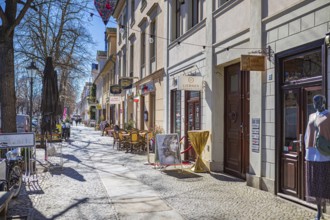 Lindenstraße in Potsdam, Germany, Europe